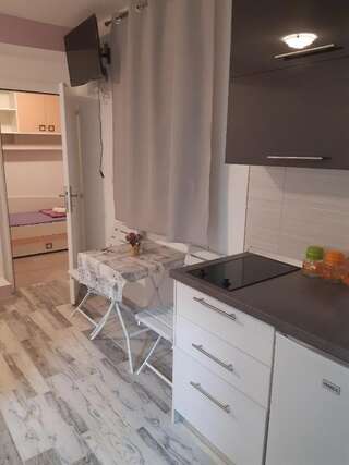Проживание в семье APARTMANI PAVLOVIC Зеленика Номер-студио с террасой-4