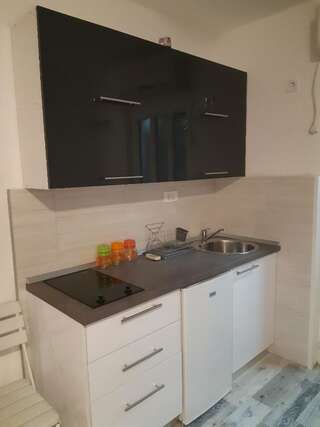 Проживание в семье APARTMANI PAVLOVIC Зеленика Номер-студио с террасой-5
