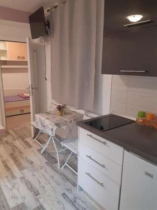 Проживание в семье APARTMANI PAVLOVIC Зеленика Номер-студио с террасой-10
