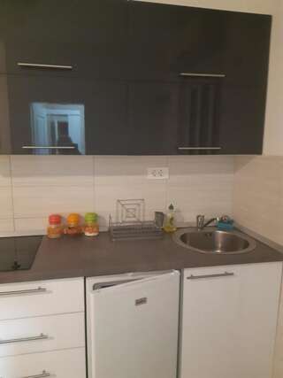 Проживание в семье APARTMANI PAVLOVIC Зеленика Номер-студио с террасой-18