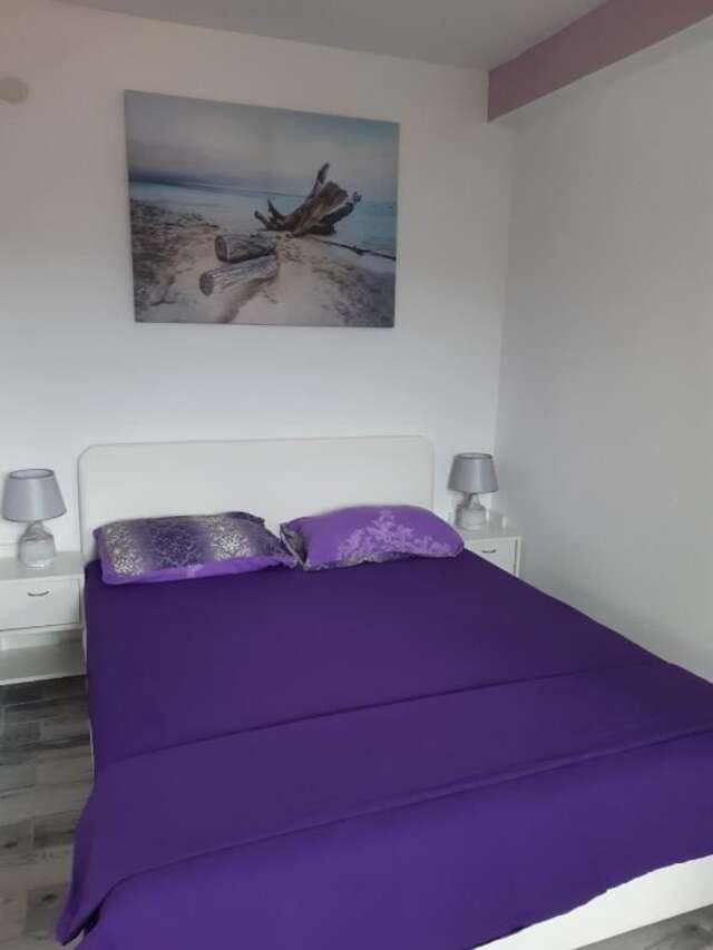 Проживание в семье APARTMANI PAVLOVIC Зеленика-20